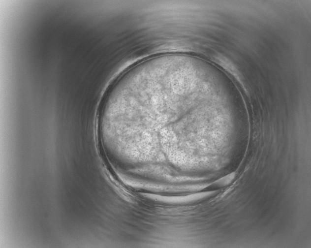 X0000068751179200605121602