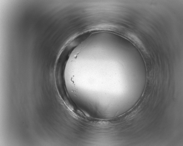 X0000068751180200605121602