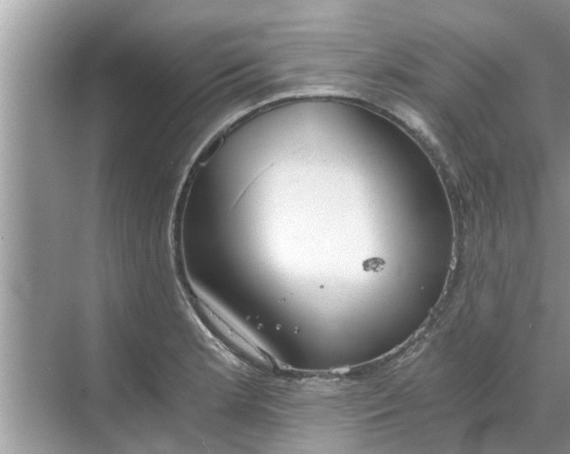 X0000068751181200605121602