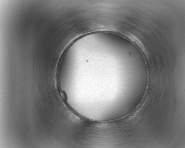 X0000068751182200605121602