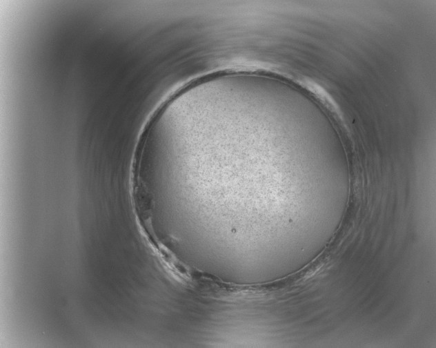 X0000068751183200605121602