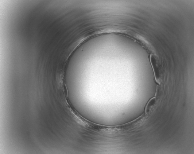 X0000068751185200605121602