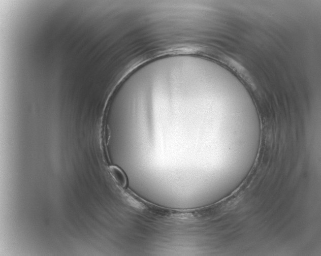 X0000068751186200605121602