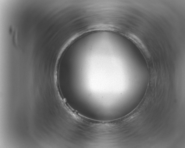 X0000068751188200605121602