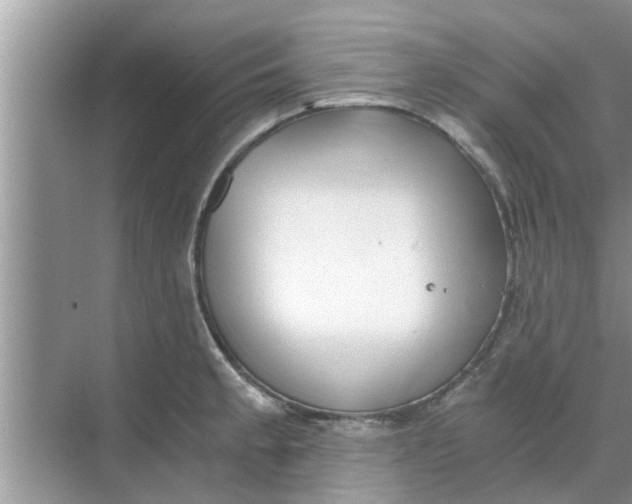 X0000068751189200605121602