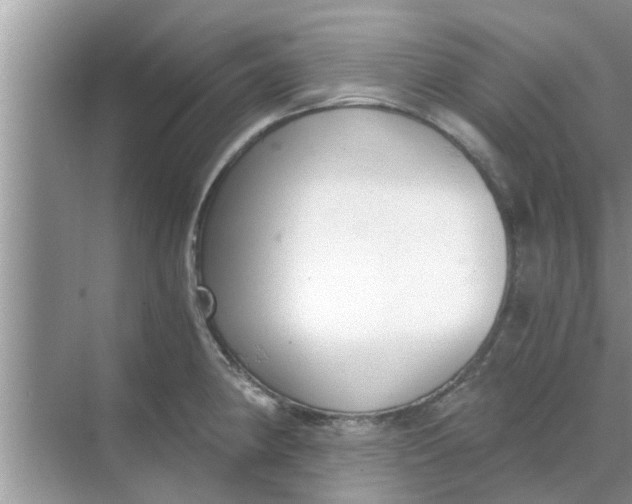 X0000068751190200605121602