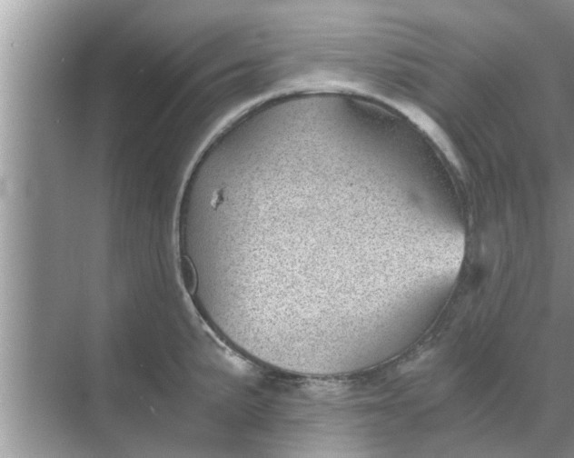 X0000068751191200605121602