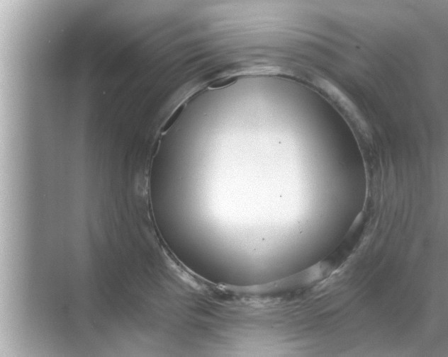 X0000068751193200605121602