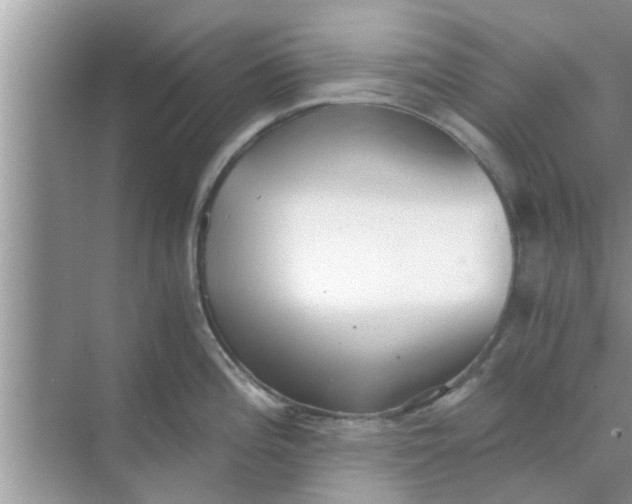 X0000068751196200605121602