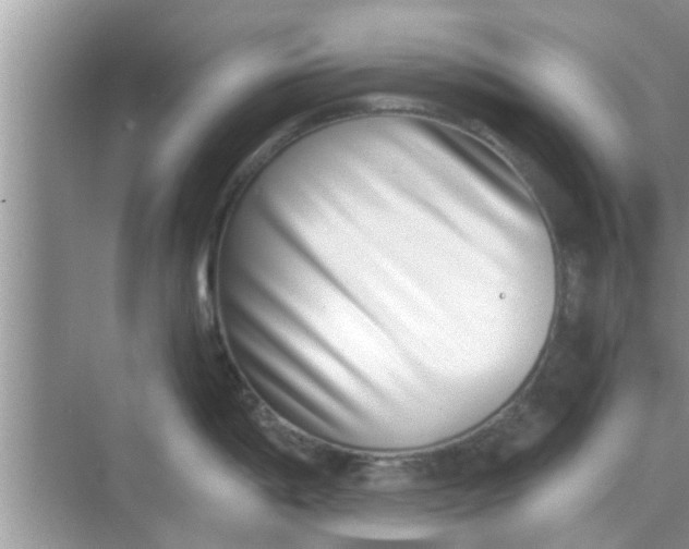 X0000068751198200605121602