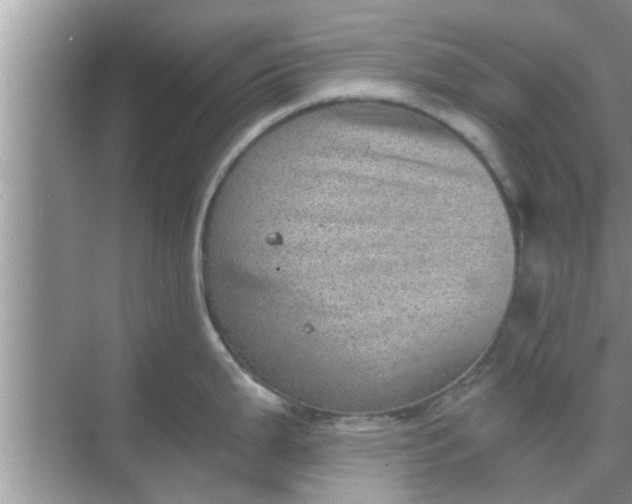 X0000068751199200605121601