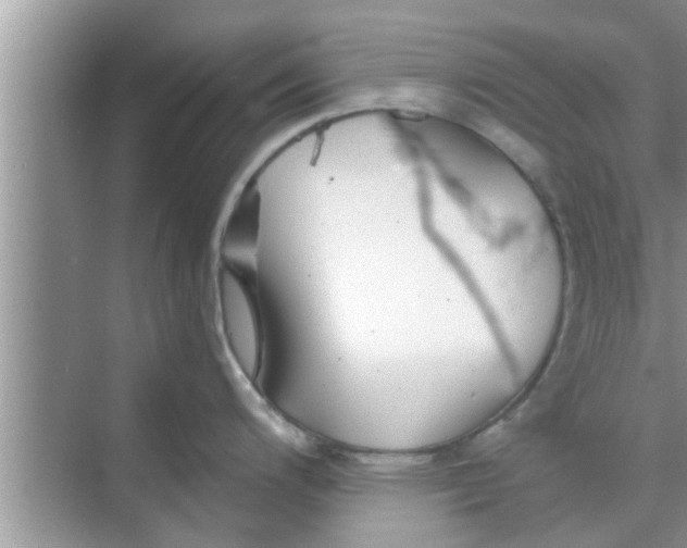 X0000068751200200605121601