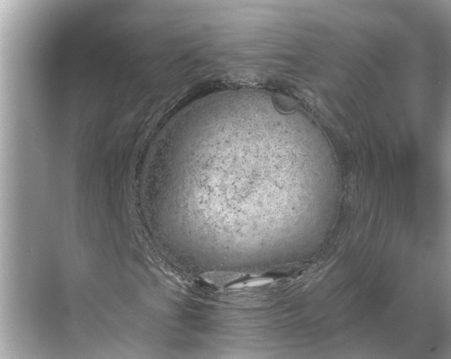 X0000068751201200605121601