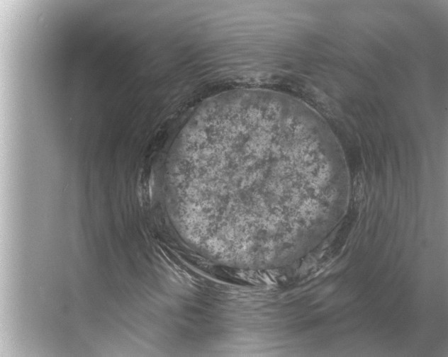 X0000068751202200605121601