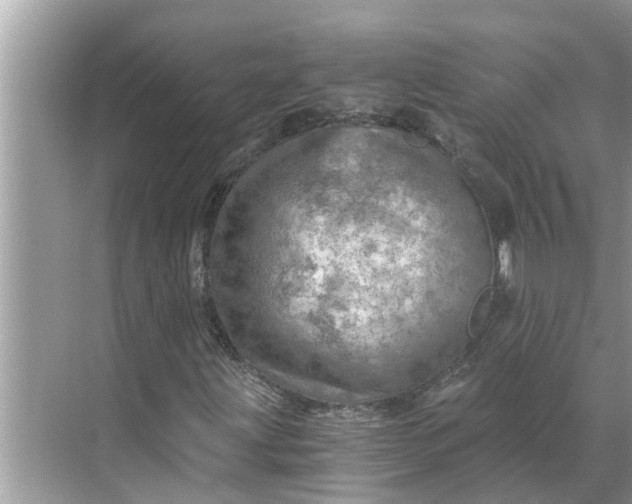 X0000068751203200605121601