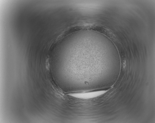 X0000068751204200605121601