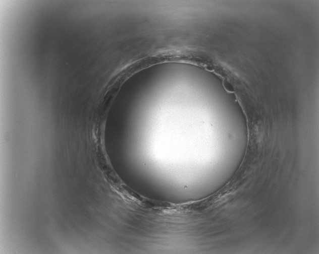 X0000068751206200605121601