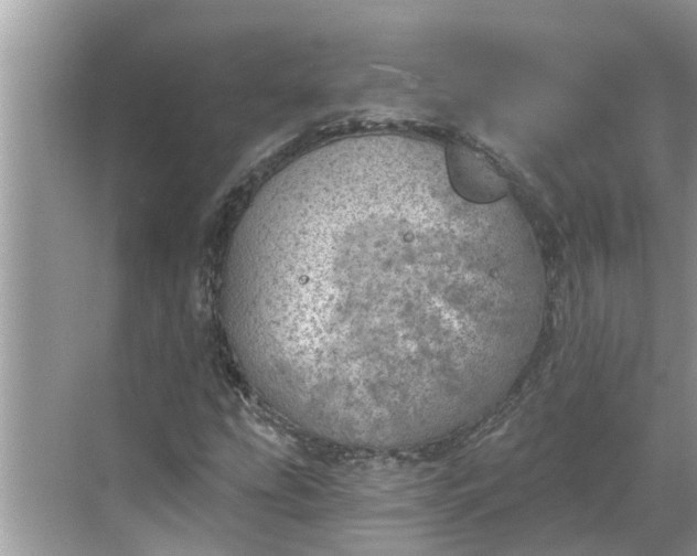 X0000068751207200605121601