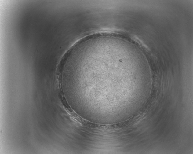 X0000068751208200605121601