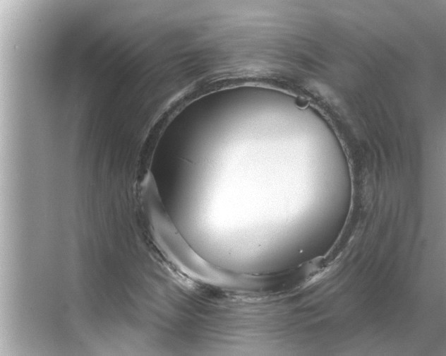 X0000068751210200605121601