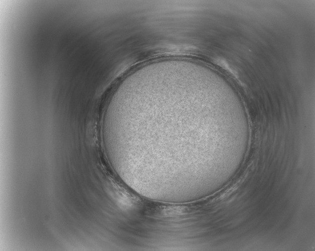 X0000068751211200605121601