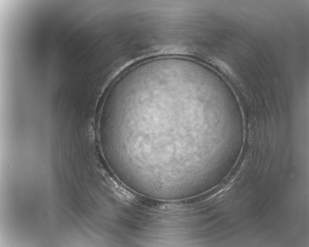 X0000068751212200605121601