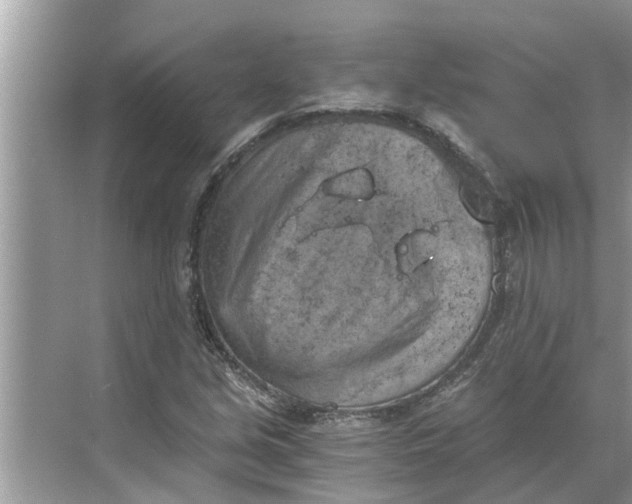 X0000068751213200605121601