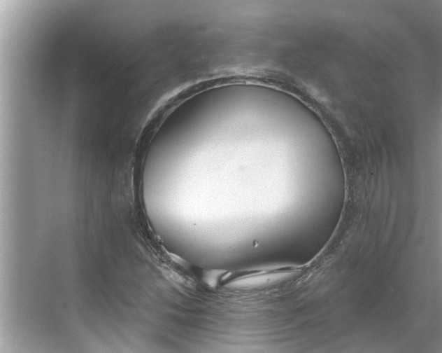 X0000068751214200605121601