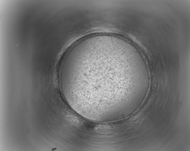 X0000068751215200605121601