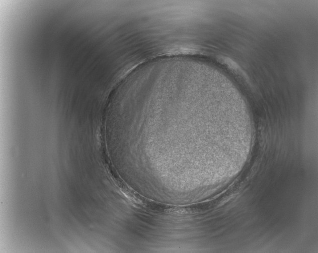 X0000068751217200605121601