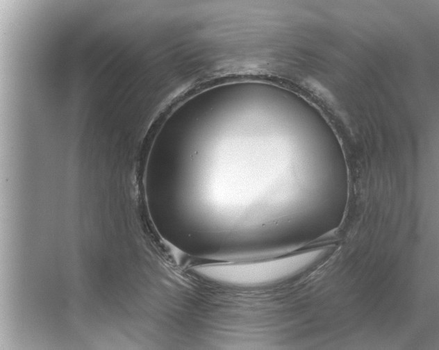 X0000068751218200605121601