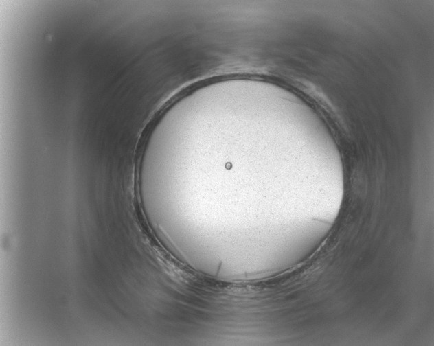 X0000068751220200605121601