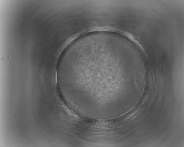 X0000068751221200605121601