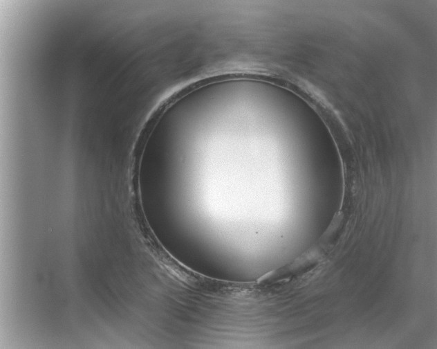 X0000068751222200605121601