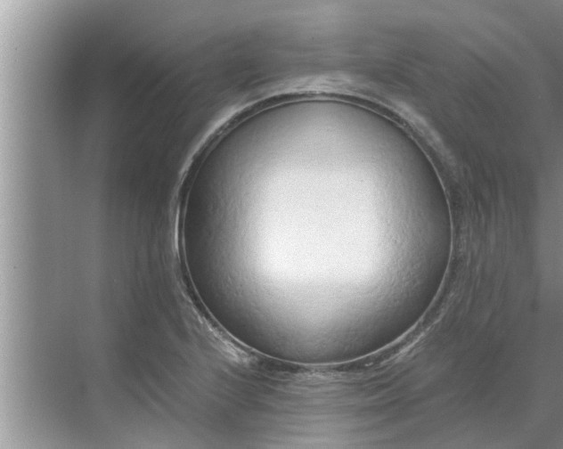 X0000068751224200605121601