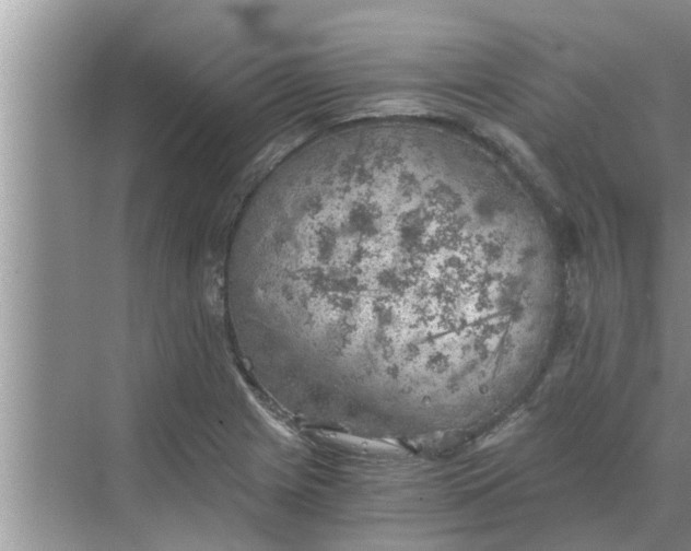 X0000068751225200605121601