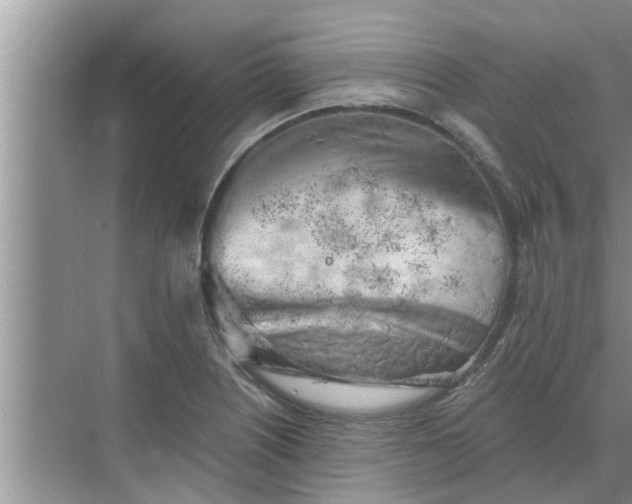 X0000068751226200605121601