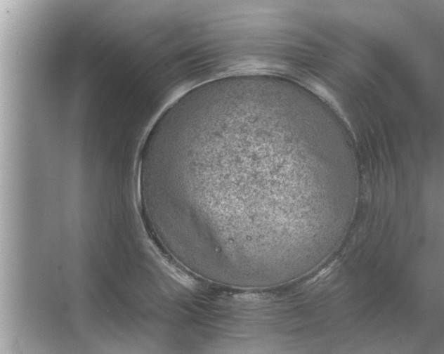 X0000068751227200605121601