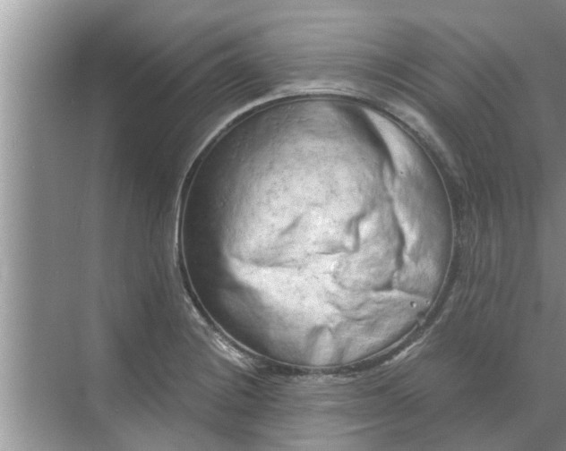 X0000068751228200605121601