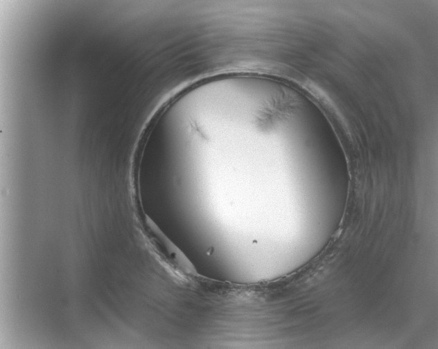 X0000068751230200605121601