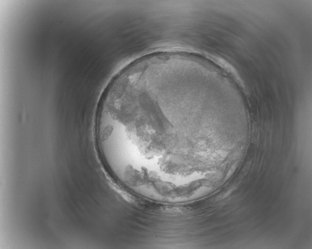 X0000068751231200605121601