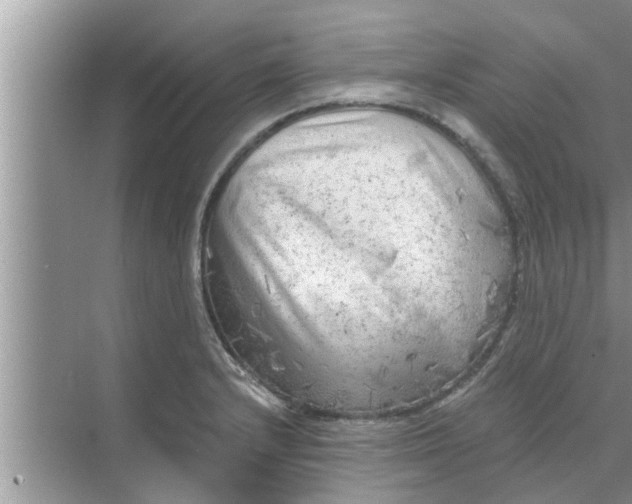 X0000068751232200605121601