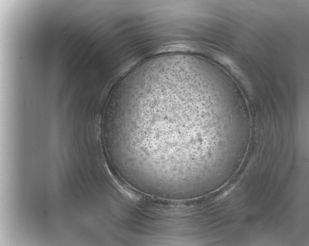 X0000068751233200605121601