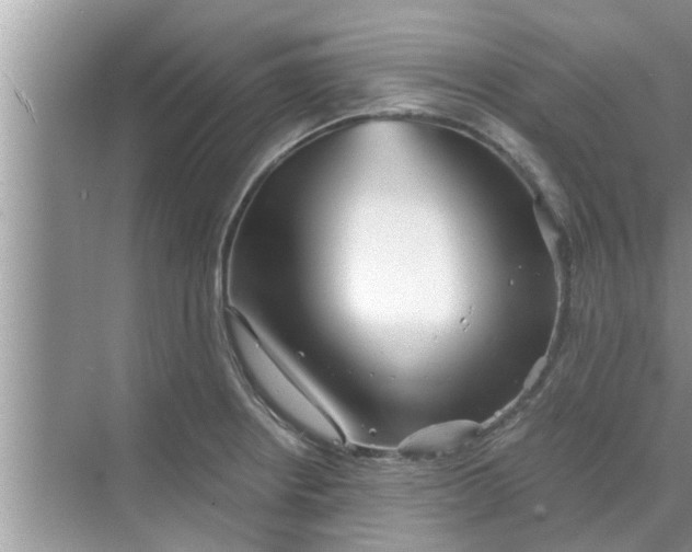 X0000068751234200605121601