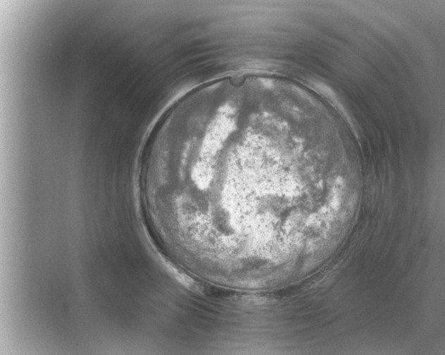 X0000068751235200605121601