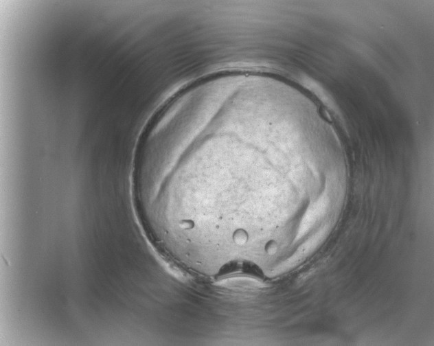 X0000068751237200605121601