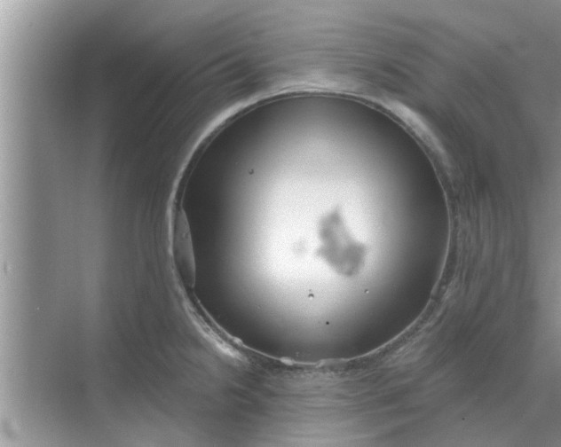 X0000068751238200605121601