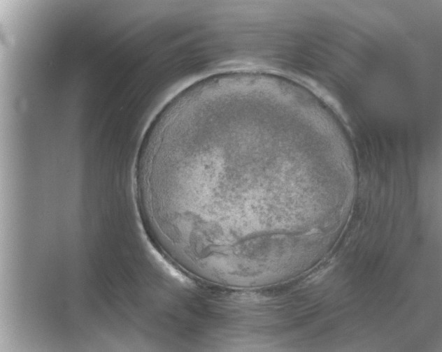 X0000068751239200605121601