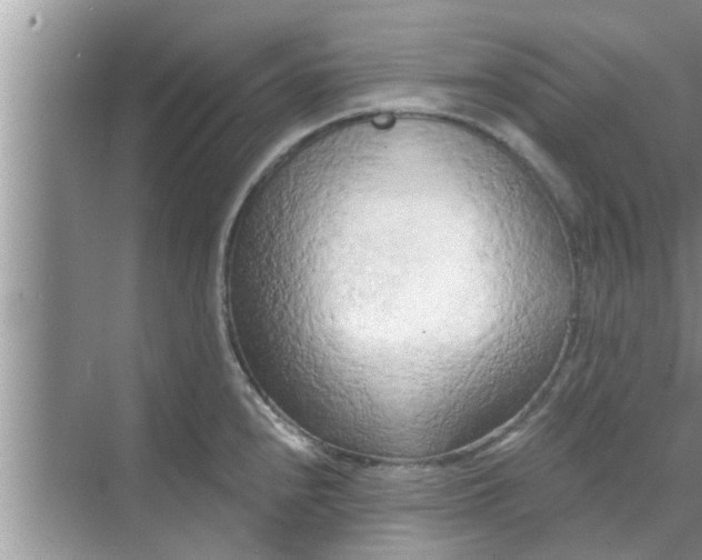 X0000068751240200605121601