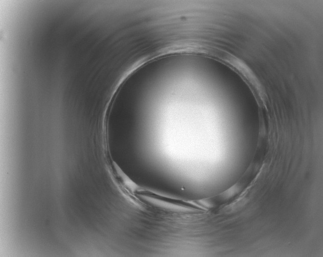 X0000068751242200605121601